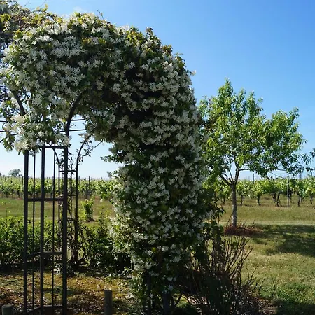 فندق مبيت وإفطار Chateau Le Livey Saint-Pierre-d'Aurillac
