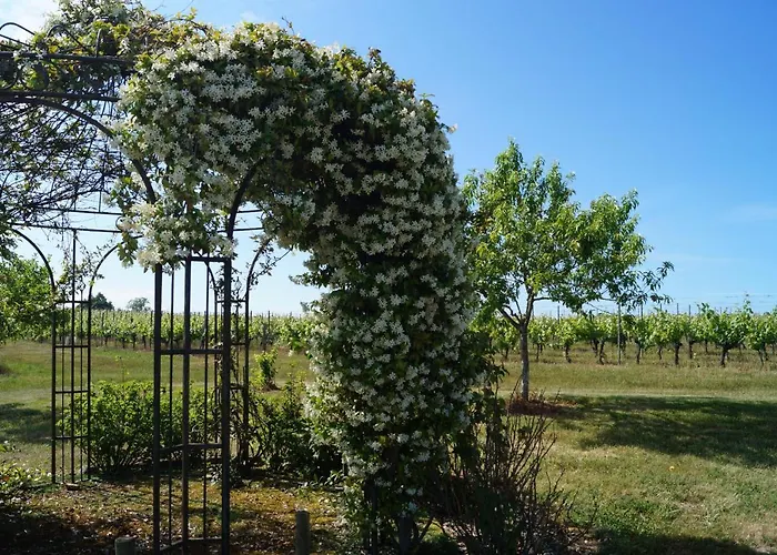 Nocleg ze śniadaniem Chateau Le Livey Saint-Pierre-d'Aurillac